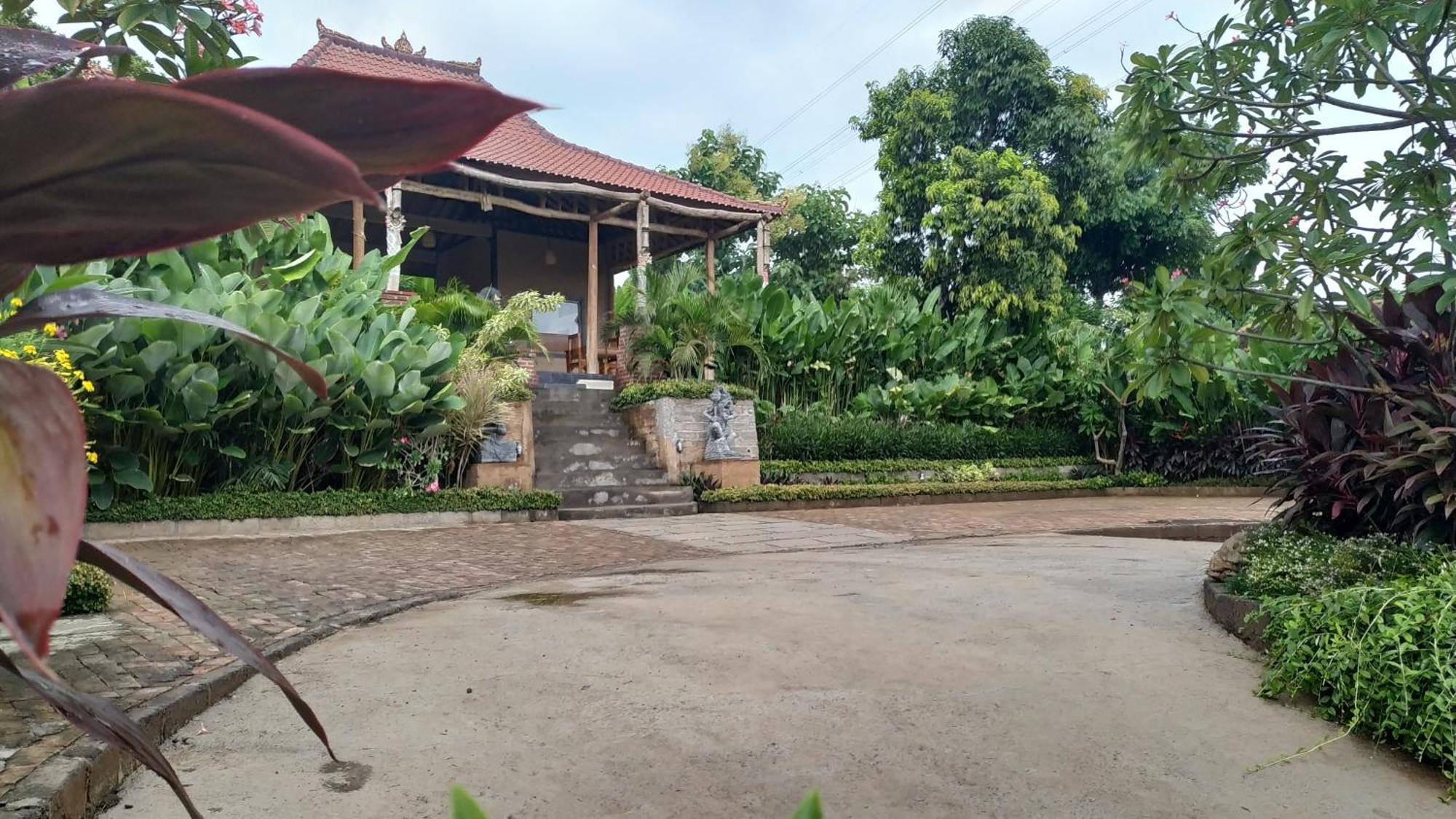 Eliska Sumberkima Pemuteran (Bali) Bagian luar foto