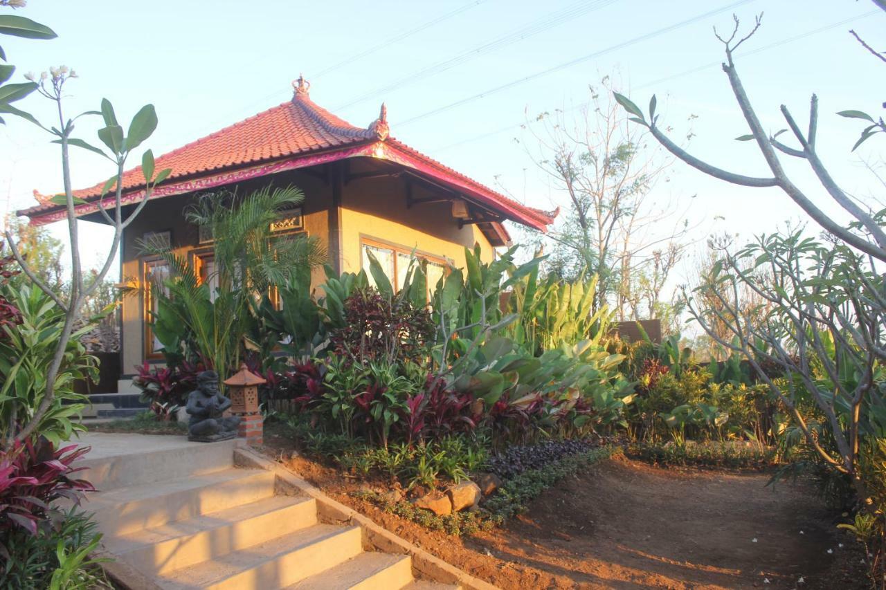 Eliska Sumberkima Pemuteran (Bali) Bagian luar foto
