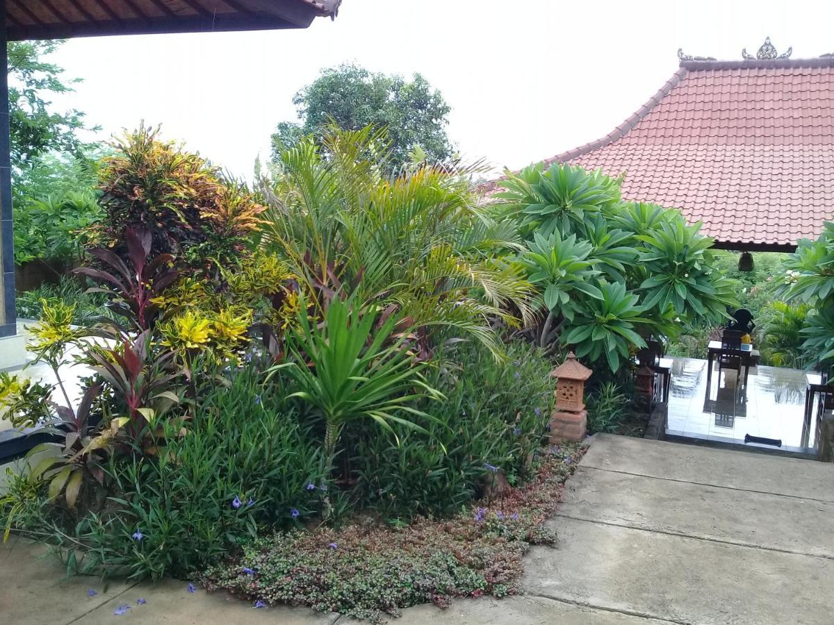 Eliska Sumberkima Pemuteran (Bali) Bagian luar foto